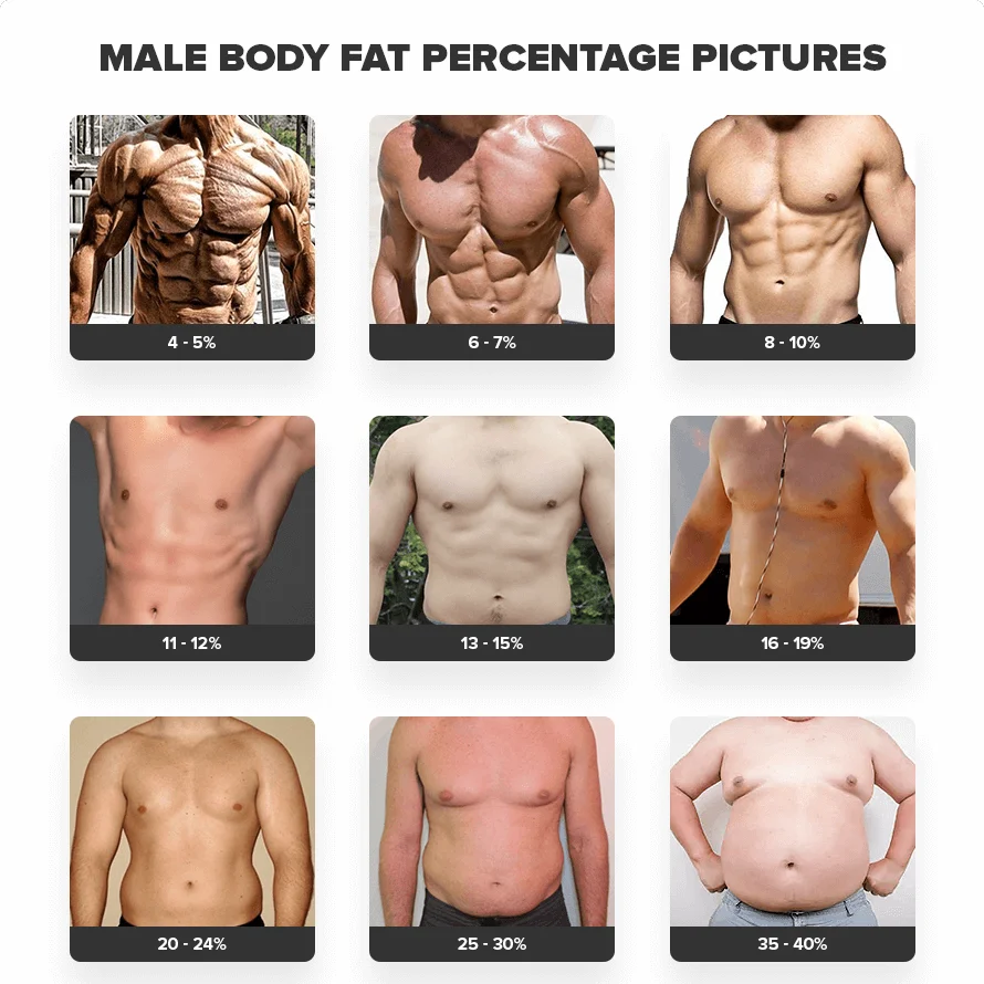 Men body fat percentage chart