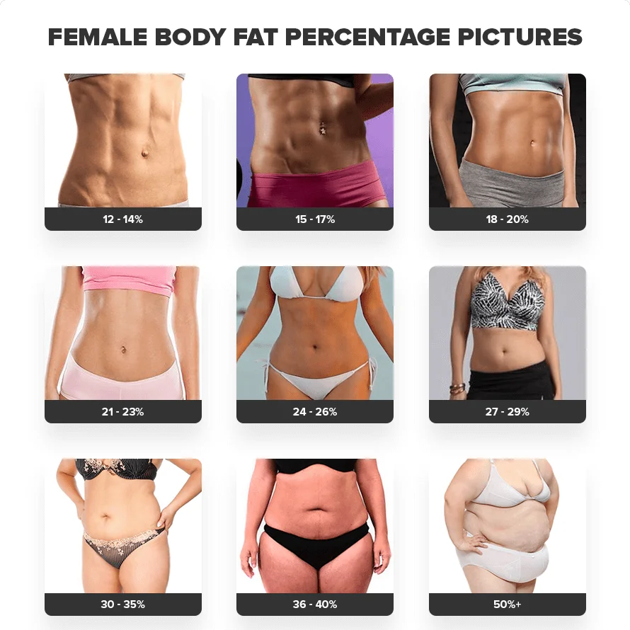 Women body fat percentage chart